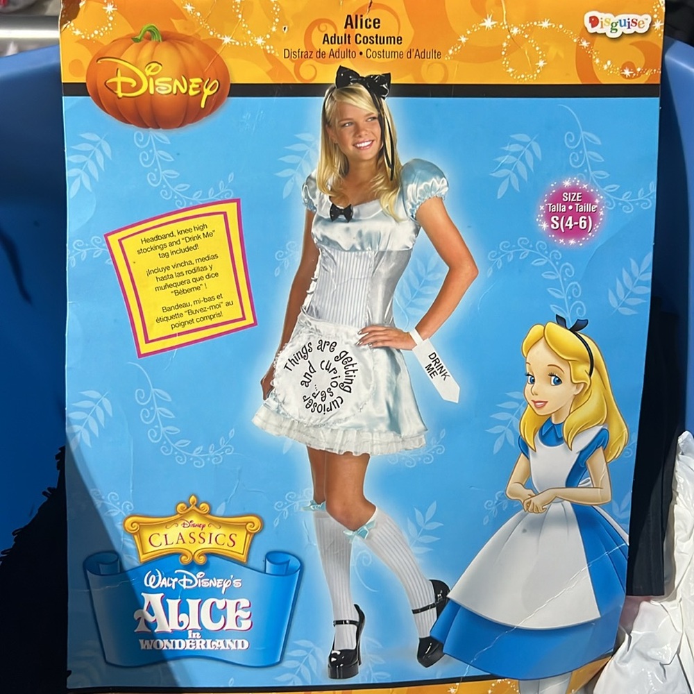 Disney Blue and White Alice Costume
